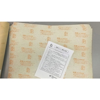 放電くんペーパー 60g/m2 10枚入 日本真空包装機械