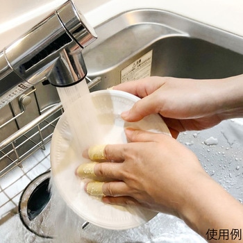 ディップエイド(R)プラス 30包入 竹虎