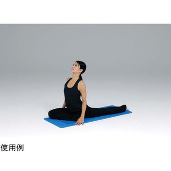 エクササイズEVAマット トーエイライト