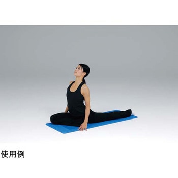 エクササイズEVAマット トーエイライト