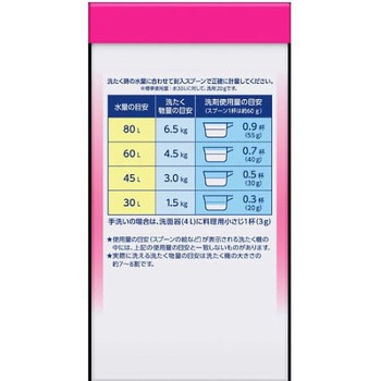 衣類用洗剤 ビック除菌プラス 2.5kg エスコ