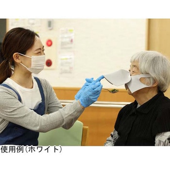 シリカクリン 抗菌消臭立体マスク【ショク 食 マスク】 テクナード
