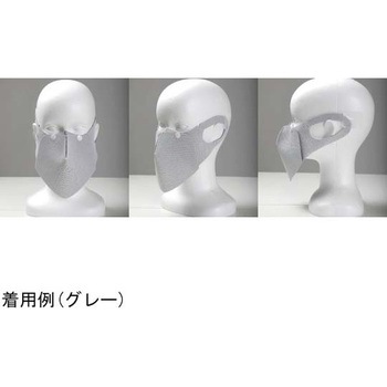 シリカクリン 抗菌消臭立体マスク【ショク 食 マスク】 テクナード