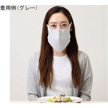 シリカクリン 抗菌消臭立体マスク【ショク 食 マスク】 テクナード