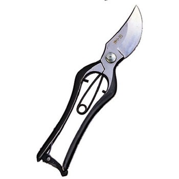 #3644 ������ B�^(���~) ���V�� 26548875