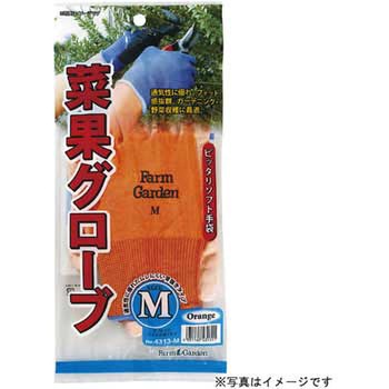 菜果グローブ ファームガーデン