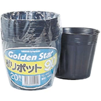 ポリポット ゴールデンスター
