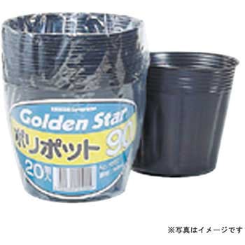 ポリポット ゴールデンスター