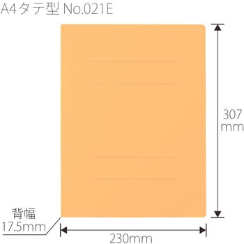 エコノミーフラットファイル PLUS(プラス)[文具]