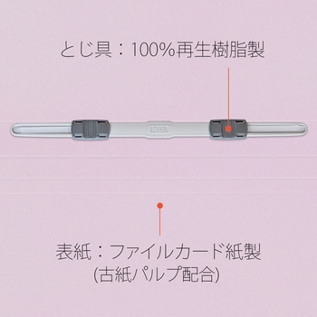 エコノミーフラットファイル PLUS(プラス)[文具]