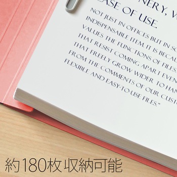 フラットファイル ノンステッチ 縦型(S) PLUS(プラス)[文具]