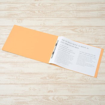 フラットファイル ノンステッチ 横型(E) 横罫線タイプ PLUS(プラス)[文具]