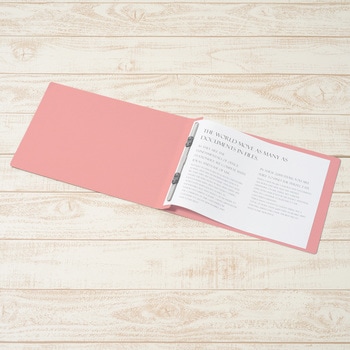 フラットファイル ノンステッチ 横型(E) 横罫線タイプ PLUS(プラス)[文具]