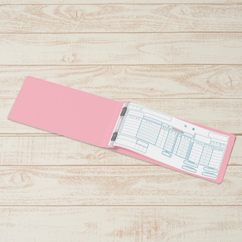 フラットファイル ノンステッチ 横型(E) 横罫線タイプ PLUS(プラス)[文具]