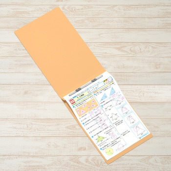 フラットファイル ノンステッチ 横型(E) 縦罫線タイプ PLUS(プラス)[文具]