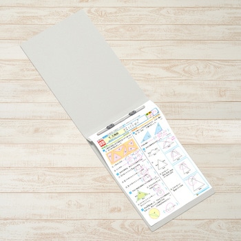 フラットファイル ノンステッチ 横型(E) 縦罫線タイプ PLUS(プラス)[文具]