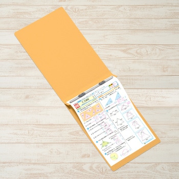フラットファイル ノンステッチ 横型(E) 縦罫線タイプ PLUS(プラス)[文具]