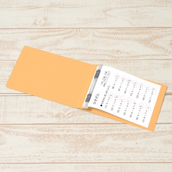 フラットファイル ノンステッチ 横型(E) 縦罫線タイプ PLUS(プラス)[文具]