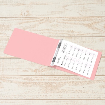 フラットファイル ノンステッチ 横型(E) 縦罫線タイプ PLUS(プラス)[文具]