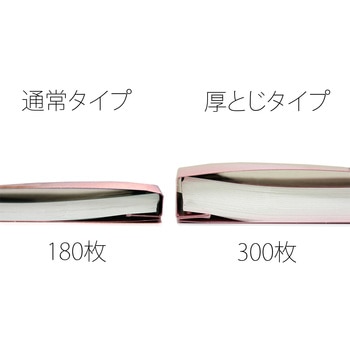 フラットファイル 厚とじ300 ノンステッチ PLUS(プラス)[文具]