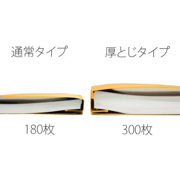 フラットファイル 厚とじ300 ノンステッチ PLUS(プラス)[文具]