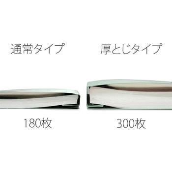 PPフラットファイル 厚とじ プラス(文具)