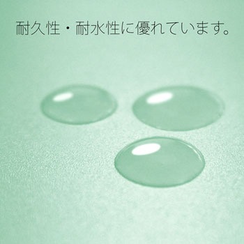 PPフラットファイル 厚とじ プラス(文具)