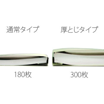 PPフラットファイル 厚とじ プラス(文具)