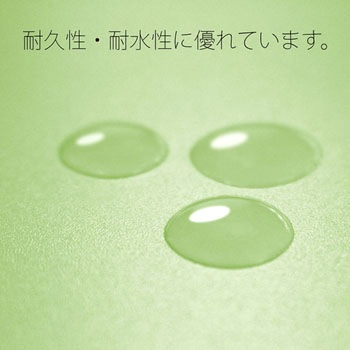 PPフラットファイル 厚とじ プラス(文具)