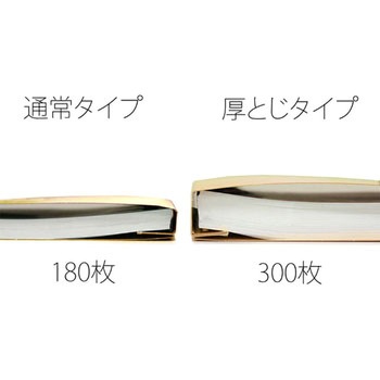PPフラットファイル 厚とじ プラス(文具)