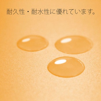 PPフラットファイル 厚とじ プラス(文具)