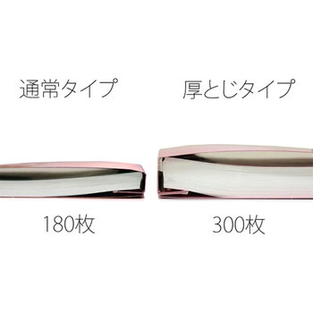 PPフラットファイル 厚とじ プラス(文具)