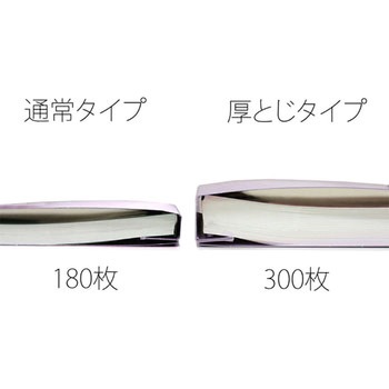 PPフラットファイル 厚とじ プラス(文具)