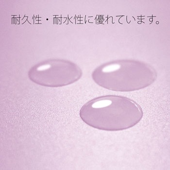 PPフラットファイル 厚とじ プラス(文具)