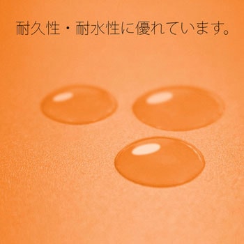 PPフラットファイル 厚とじ プラス(文具)