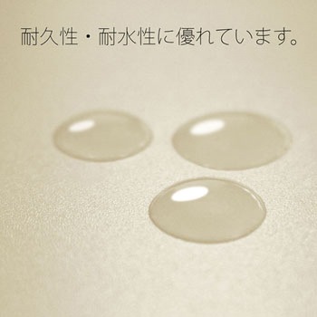 PPフラットファイル 厚とじ プラス(文具)