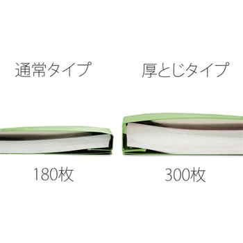 PPフラットファイル 厚とじ プラス(文具)