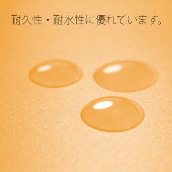 PPフラットファイル(2ツ折りタイプ) PLUS(プラス)[文具]