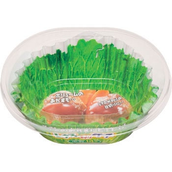 - ���^�X�P�[�X �G���G�[�p�b�P�[�W���O 26575727