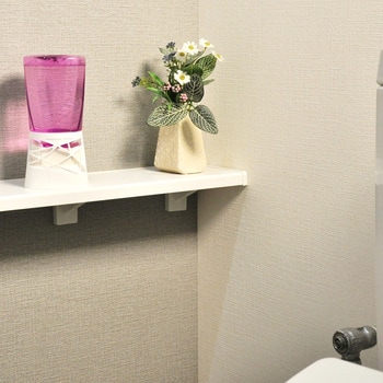 トイレのスッキーリ! Sukki‐ri! アース製薬