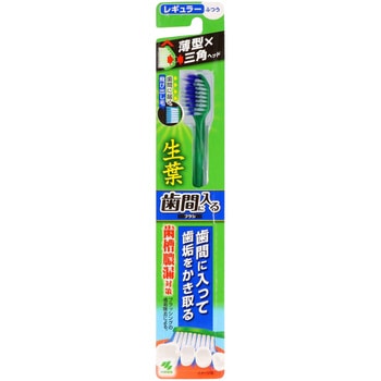 生葉歯間に入るブラシ 小林製薬
