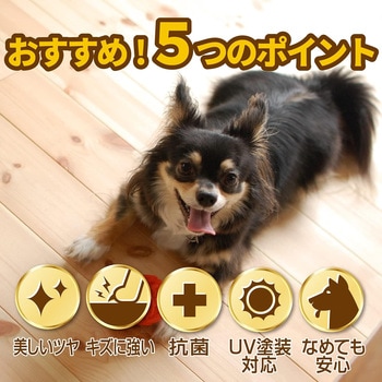 滑り止め 床用コーティング剤 リンレイ