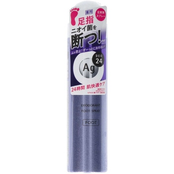 エージーデオ24 フットスプレーh(医薬部外品) ファイントゥデイ資生堂