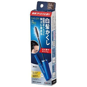 - サロン・ド・プロ 白髪かくしカラー ダリヤ 26590935
