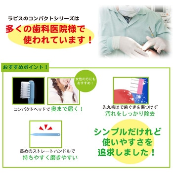 歯科専用歯ブラシ パールコンパクトヘッド フラット 12本 ラピス