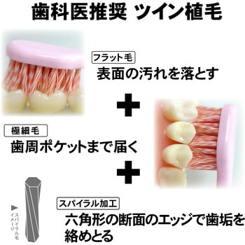 歯ラ歯ラさせないで！475ロンT – しなこofficialHP