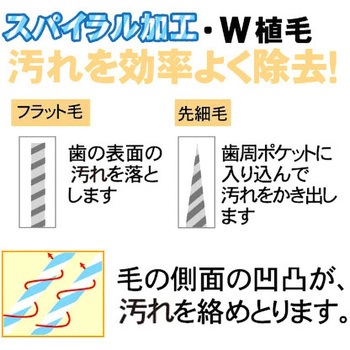 歯ブラシコーディネート術と歯周ポケット鑑別ガイド 86100001_7.jpg