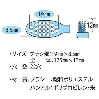 エコデント歯ブラシ スパイラルツイン毛 コンパクトヘッド 3本 - ラピス