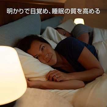 PLH42WB Philips Hue ホワイトシングルランプ E17 JP 1個 フィリップス