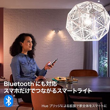 PLH47GS Philips Hue ホワイトグラデーション E17 1個 フィリップス